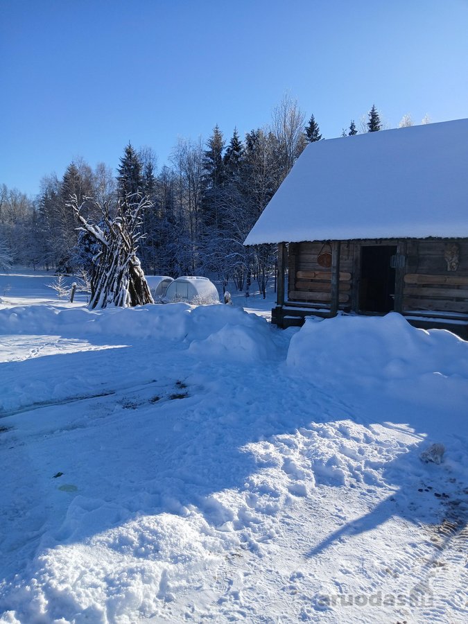 Parduodama sodyba miškų apsuptyje su 16,7397 - nuotraukos Nr. 20