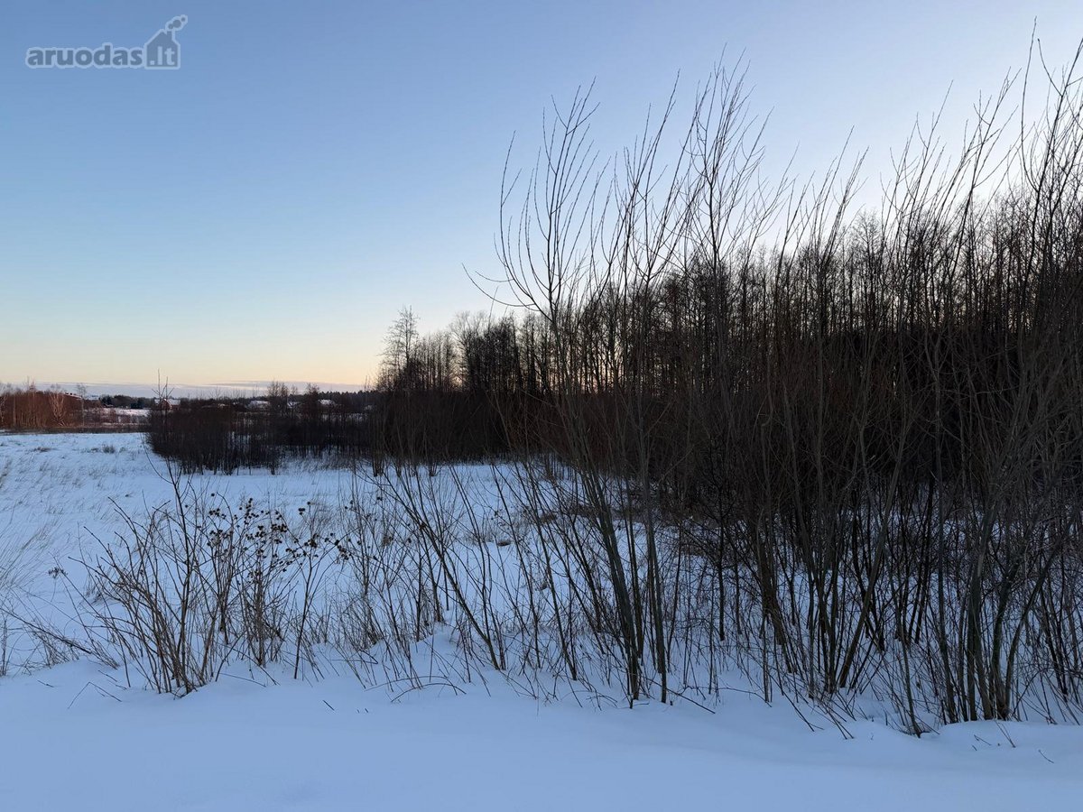Parduodamas 1,40 ha žemės ūkio paskirties - nuotraukos Nr. 6