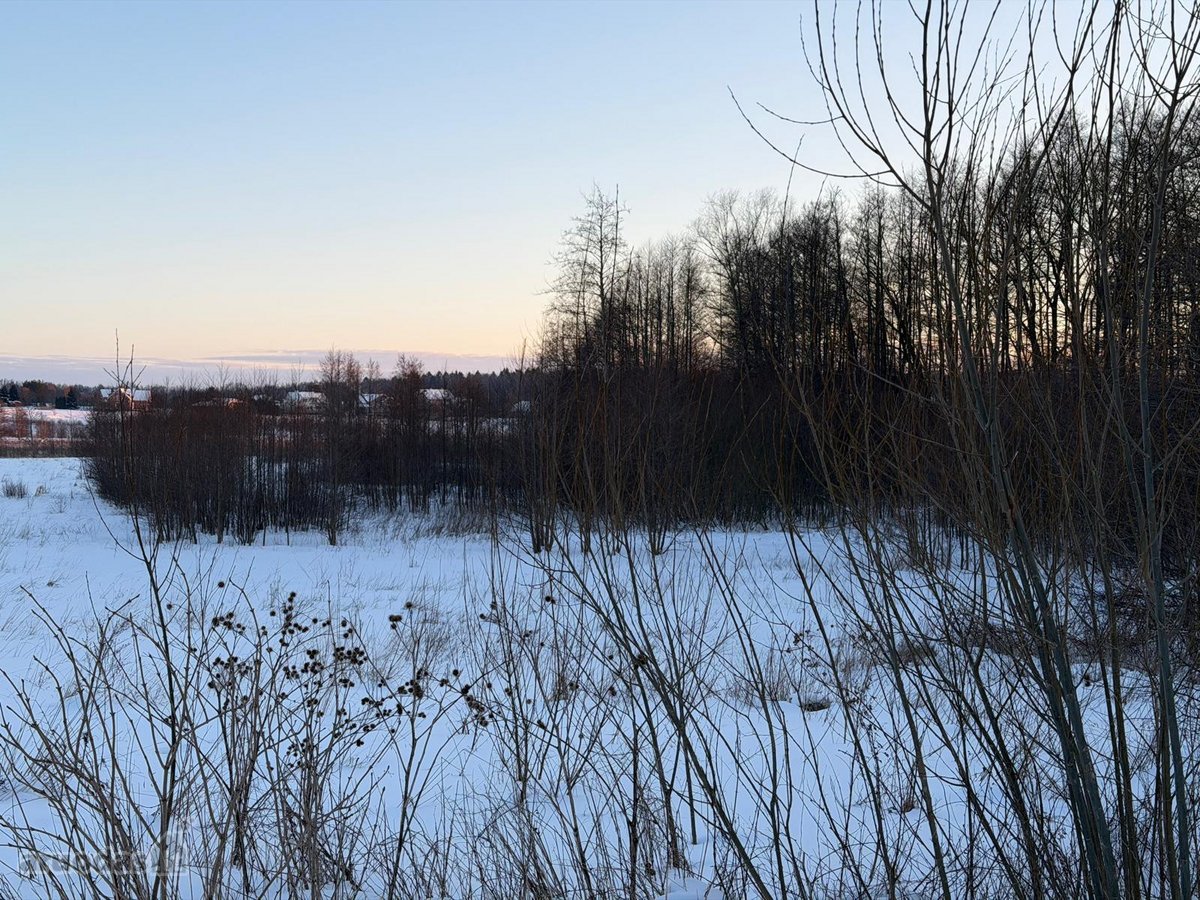 Parduodamas 1,40 ha žemės ūkio paskirties - nuotraukos Nr. 7
