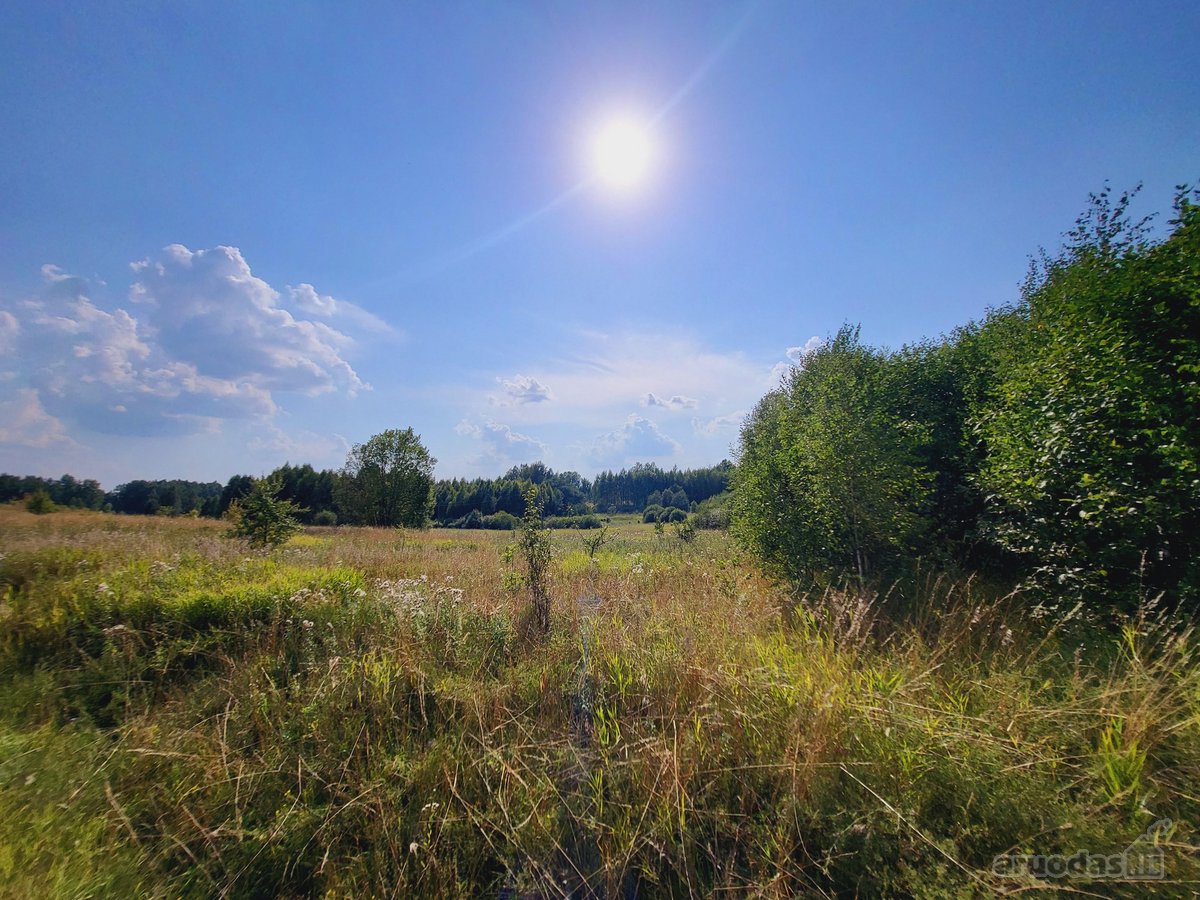 Parduodami žemės ūkio paskirties skypai