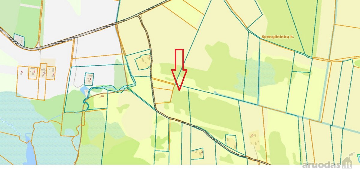 Parduodamas žemės ūkio paskirties sklypas