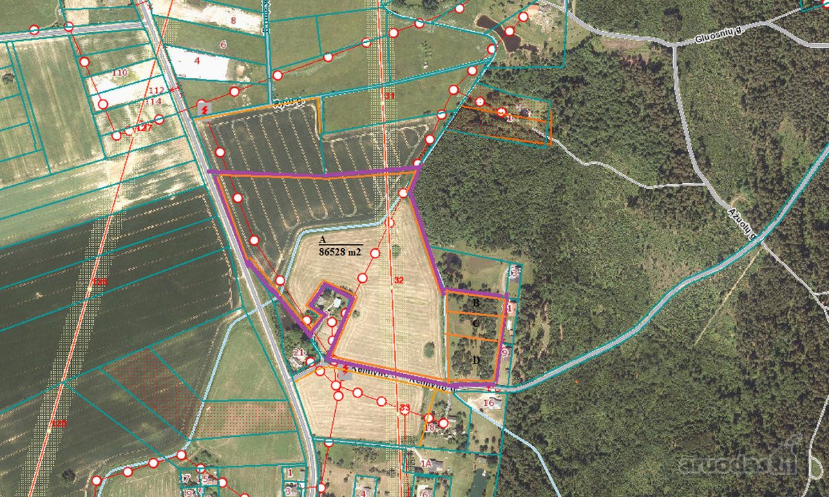 8,6528 ha žemės ūkio paskirties žemės sklypo