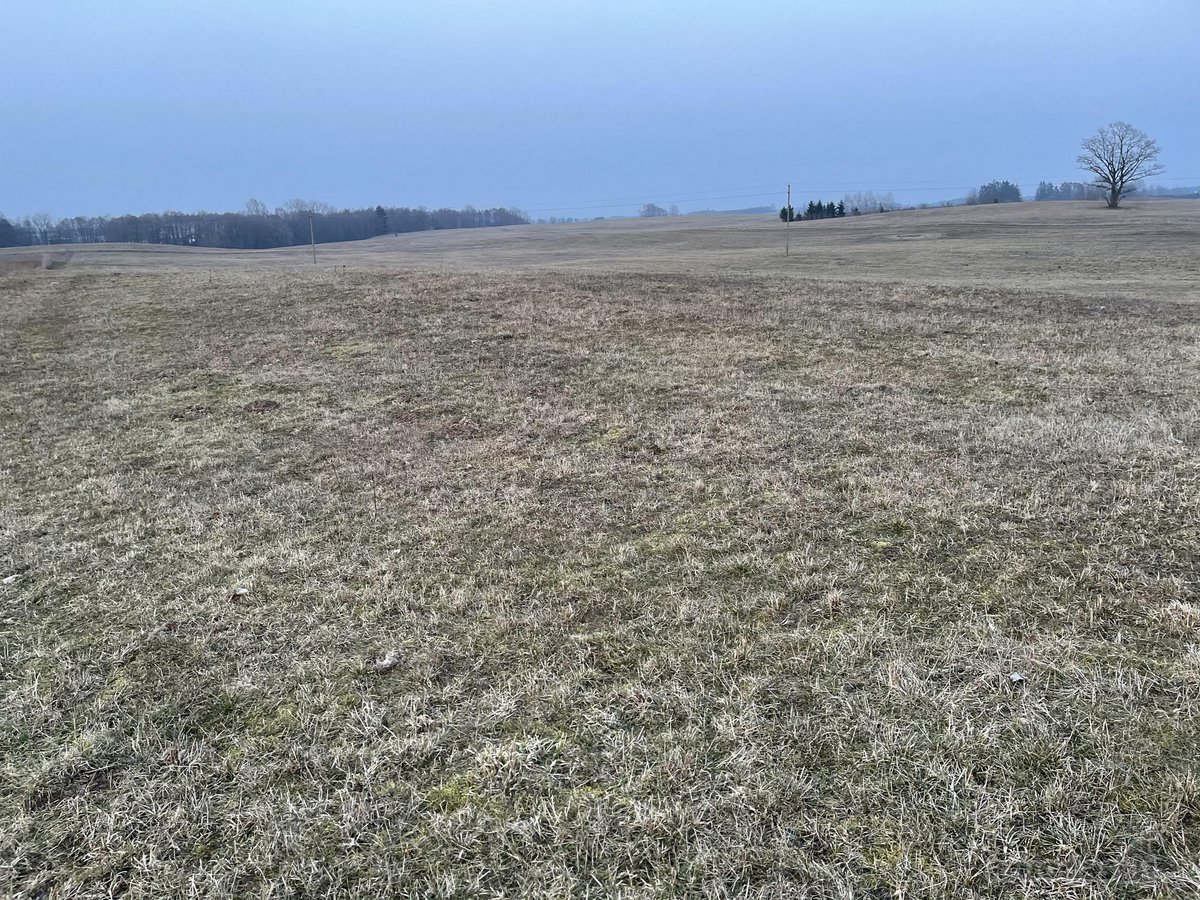 Parduodamas du namų valdos sklypai po 30 arų