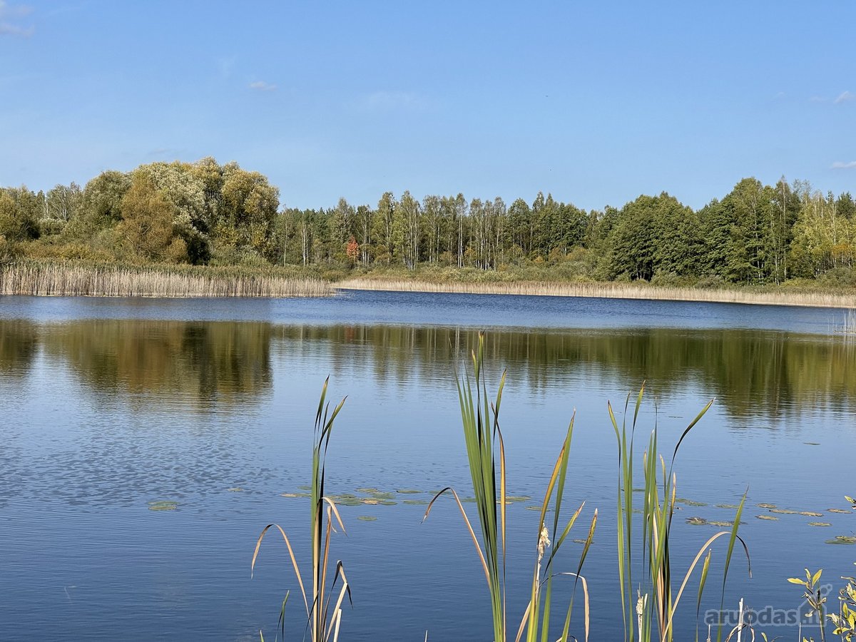 Parduodamas žemės sklypas prie Ežeriekų ežero - nuotraukos Nr. 6