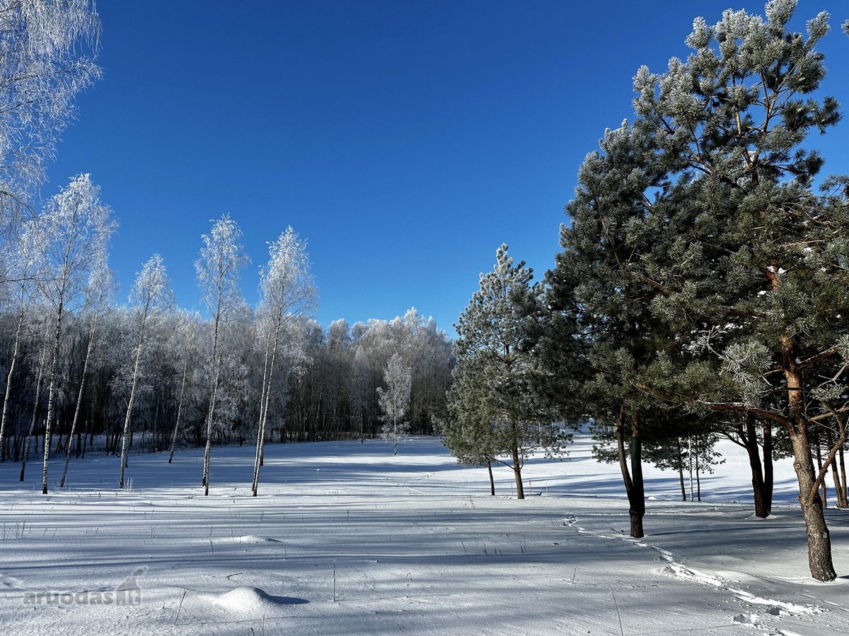 Parduodami 6 išskirtiniai namų valdos sklypai - nuotraukos Nr. 37