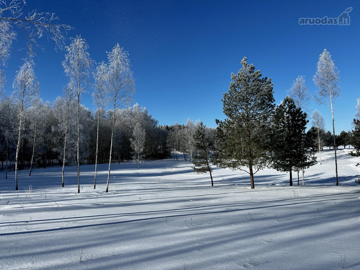 Parduodami 6 išskirtiniai namų valdos sklypai - nuotraukos Nr. 39