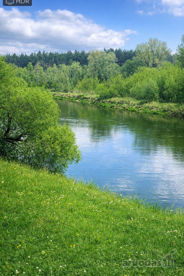 Parduodamas unikalus miškų ūkio sklypas