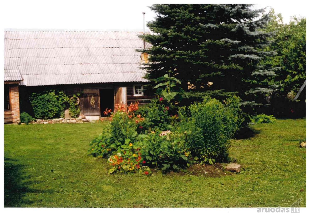 4 pastatų sodyba su dideliu sodu, asfaltuotas - nuotraukos Nr. 3