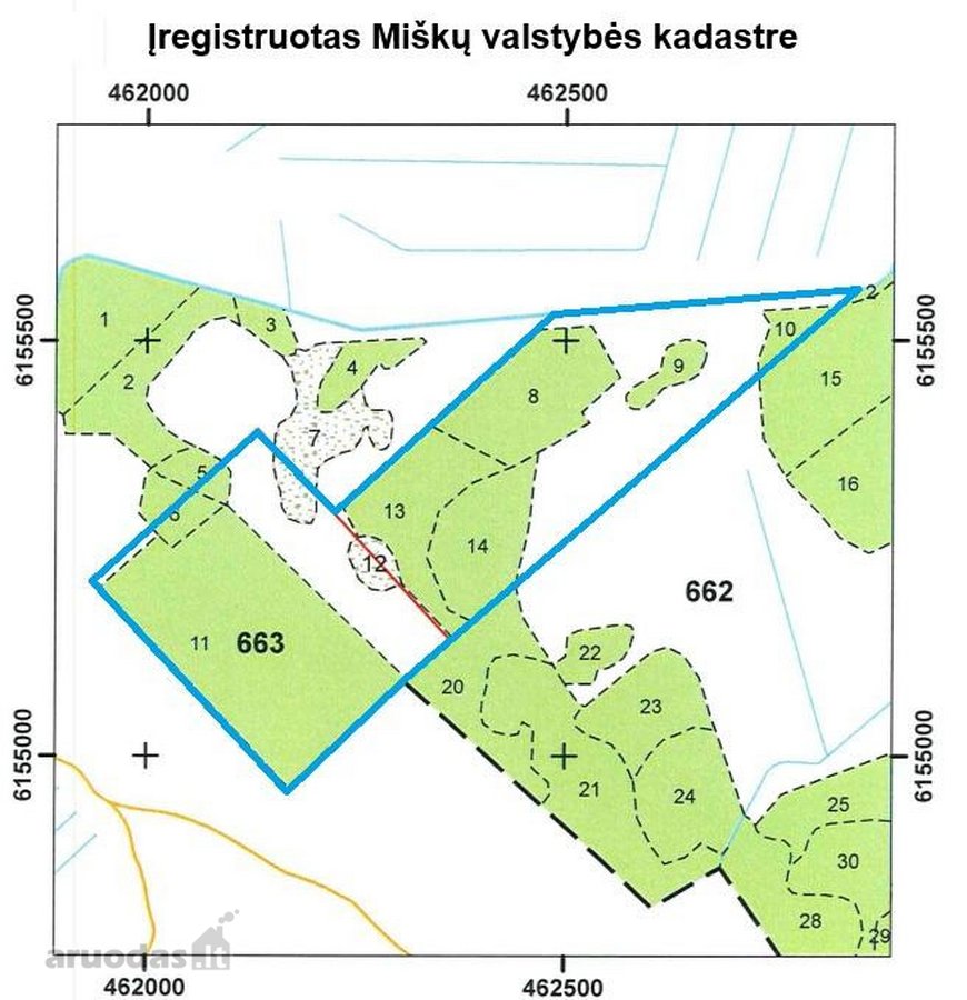 19,8 Ha Ąžuolynas Radviliškio Rajone  - nuotraukos Nr. 3