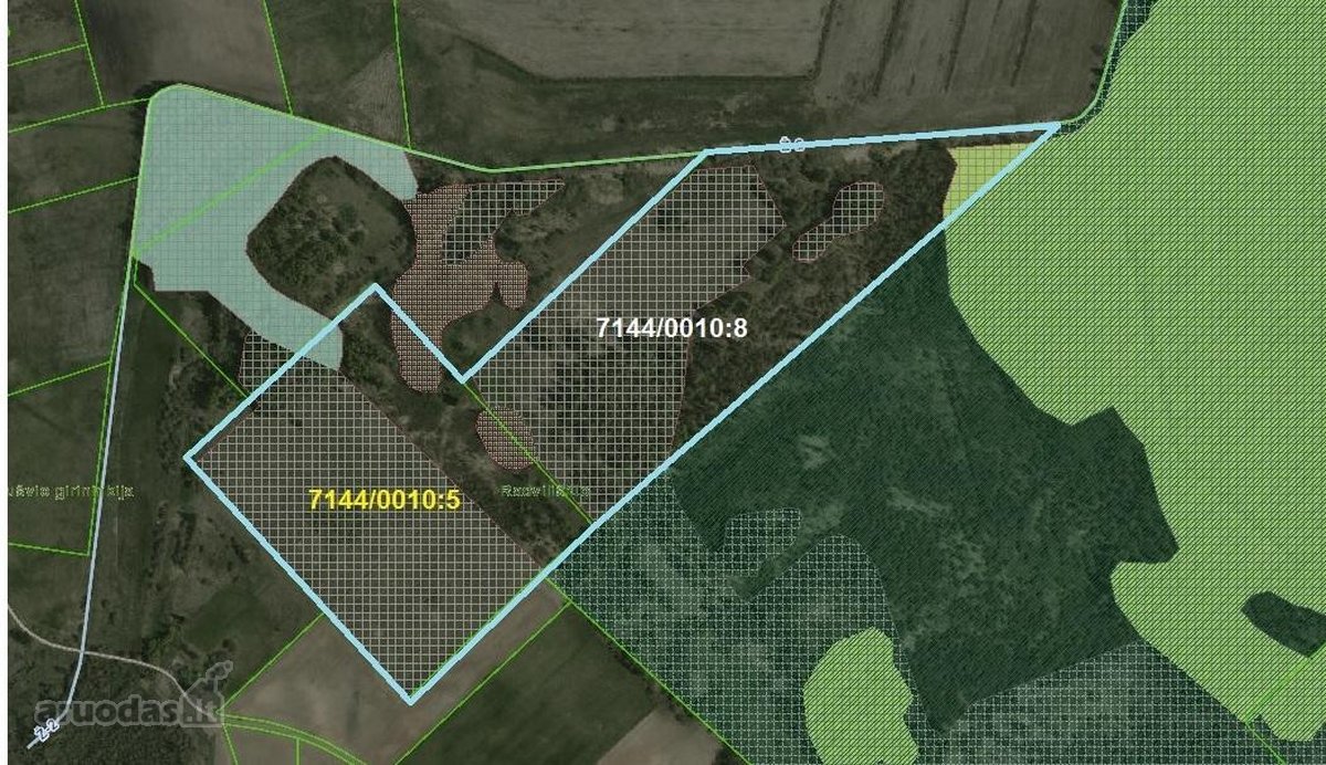 19,8 Ha Ąžuolynas Radviliškio Rajone  - nuotraukos Nr. 2