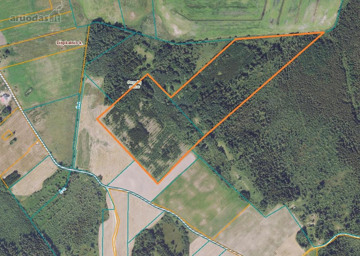 19,8 Ha Ąžuolynas Radviliškio Rajone 