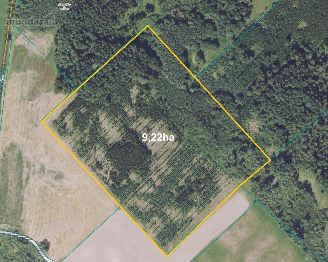 19,8 Ha Ąžuolynas Radviliškio Rajone  - nuotraukos Nr. 4