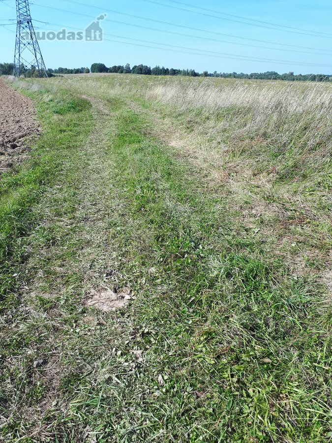 Parduodamas 6,83 ha, žemės ūkio sklypas. Žemė - nuotraukos Nr. 2