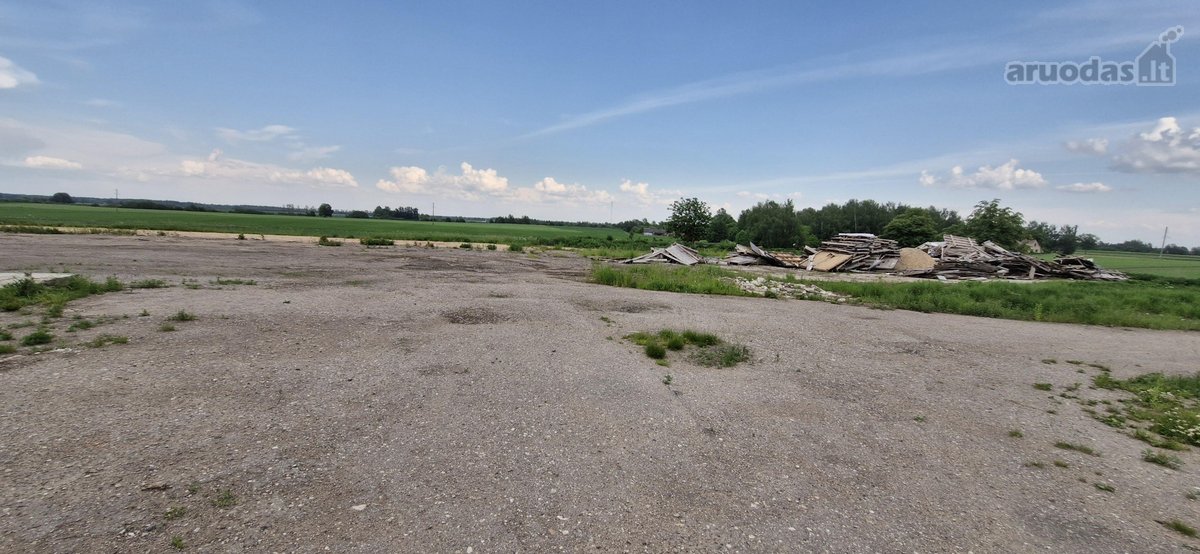 Betonuota, asfaltuota aikštelė - nuotraukos Nr. 2