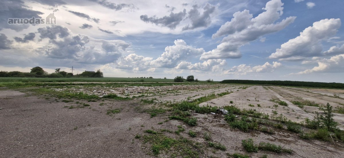 Betonuota, asfaltuota aikštelė - nuotraukos Nr. 3