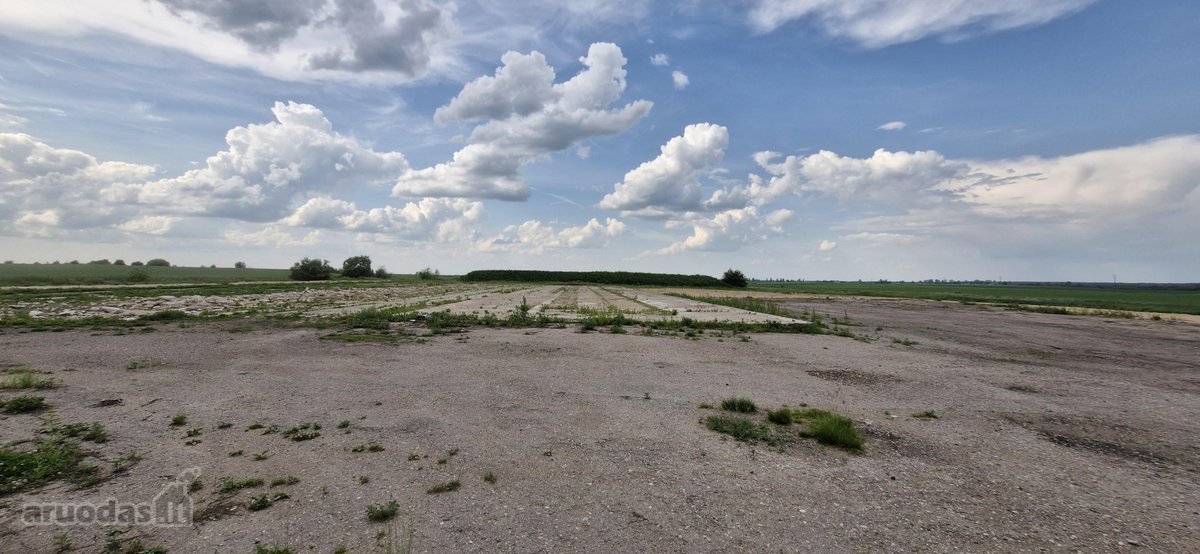 Betonuota, asfaltuota aikštelė - nuotraukos Nr. 4