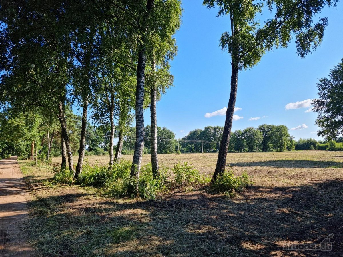 Parduodamas 200 arų sklypas Svencelėje, - nuotraukos Nr. 2