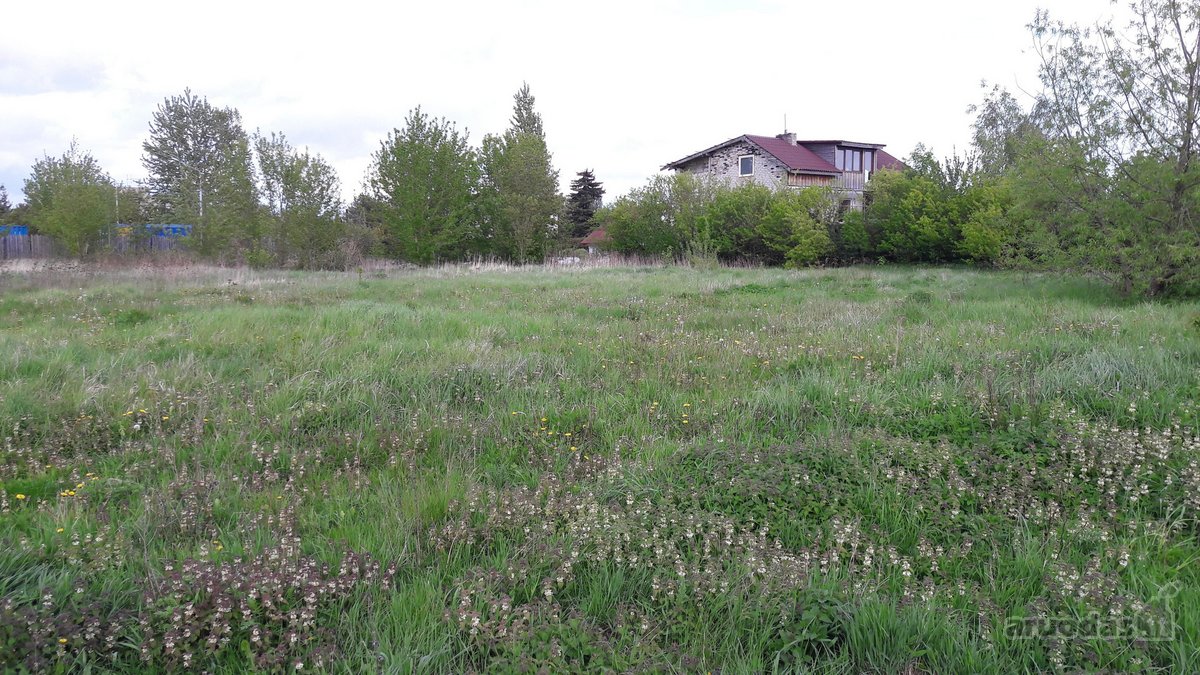 Parduodamas 25,50 a žemės sklypas Kėdainiuose - nuotraukos Nr. 4