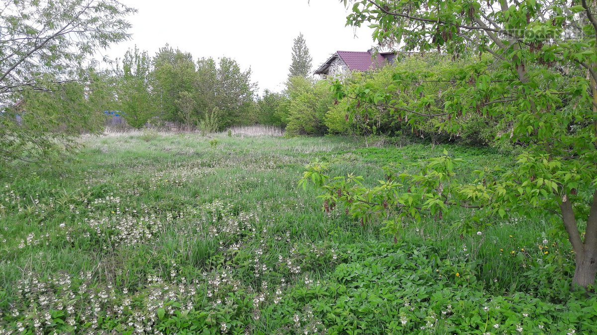 Parduodamas 25,50 a žemės sklypas Kėdainiuose - nuotraukos Nr. 2