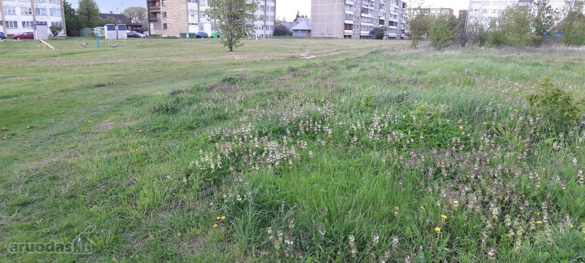 Parduodamas 25,50 a žemės sklypas Kėdainiuose