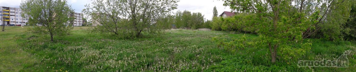 Parduodamas 25,50 a žemės sklypas Kėdainiuose - nuotraukos Nr. 5