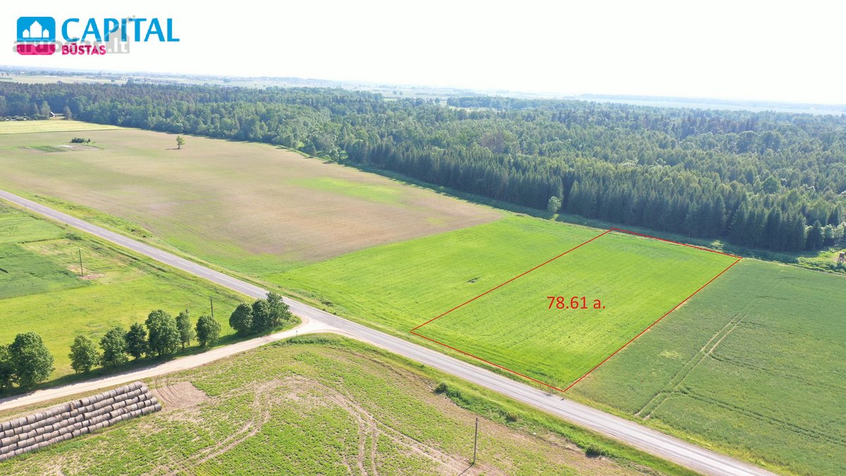 Parduodamas 78.61 a. žemės sklypas