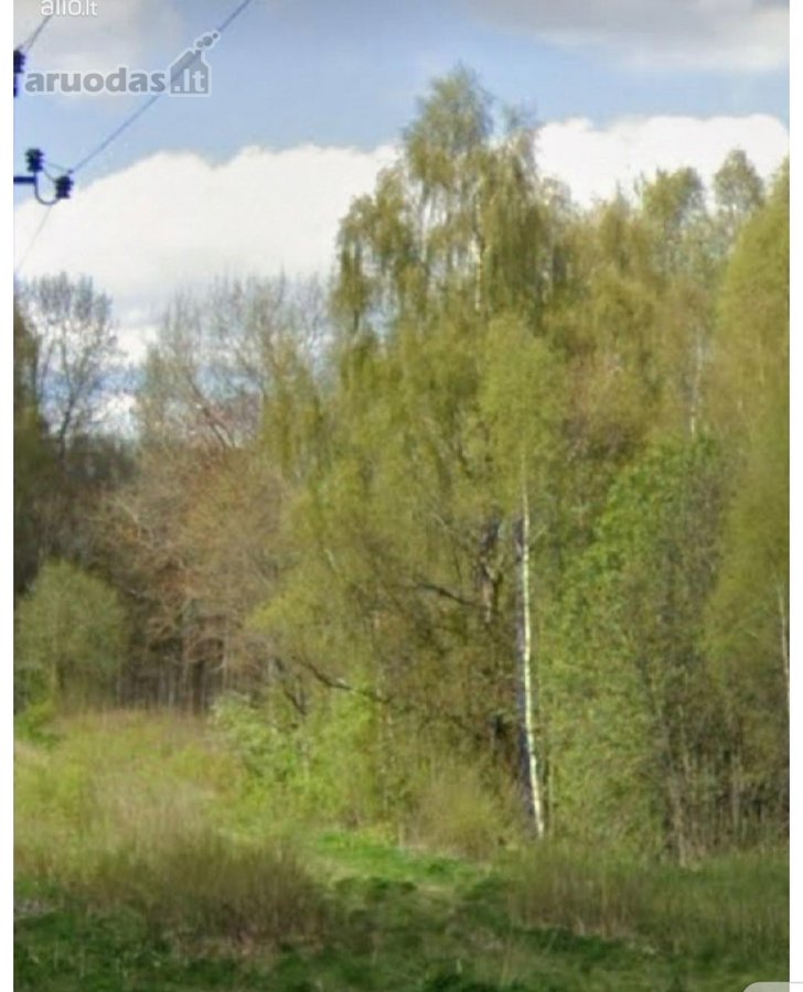 Parduodamas 80 arų , žemes ūkio paskirties - nuotraukos Nr. 6