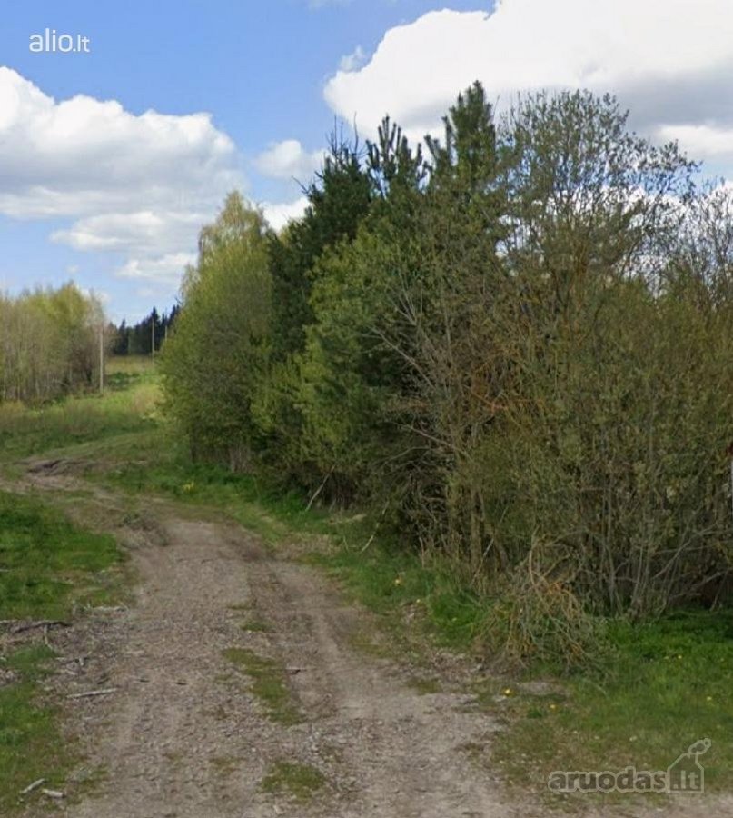 Parduodamas 80 arų , žemes ūkio paskirties - nuotraukos Nr. 5