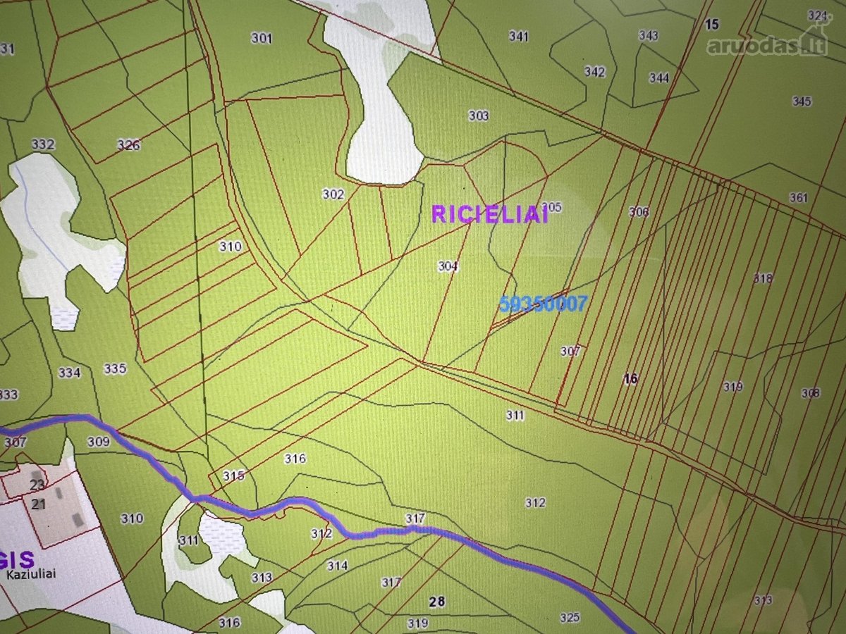 Druskininkų sav., Kaziulių k. - nuotraukos Nr. 2