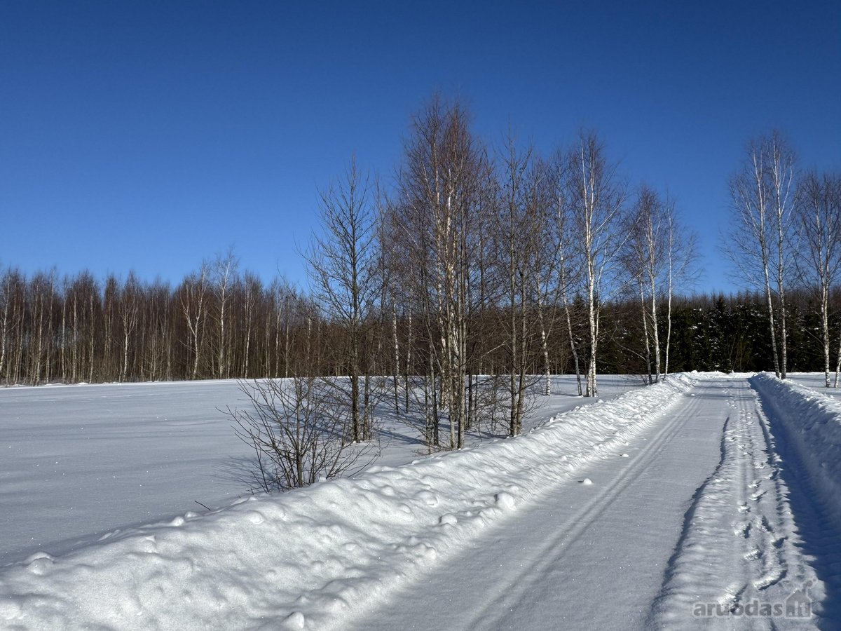 Namų valdos sklypas 95,03 arų su kokybiškai - nuotraukos Nr. 10