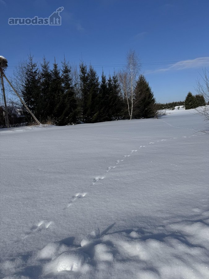 Namų valdos sklypas 95,03 arų su kokybiškai - nuotraukos Nr. 11