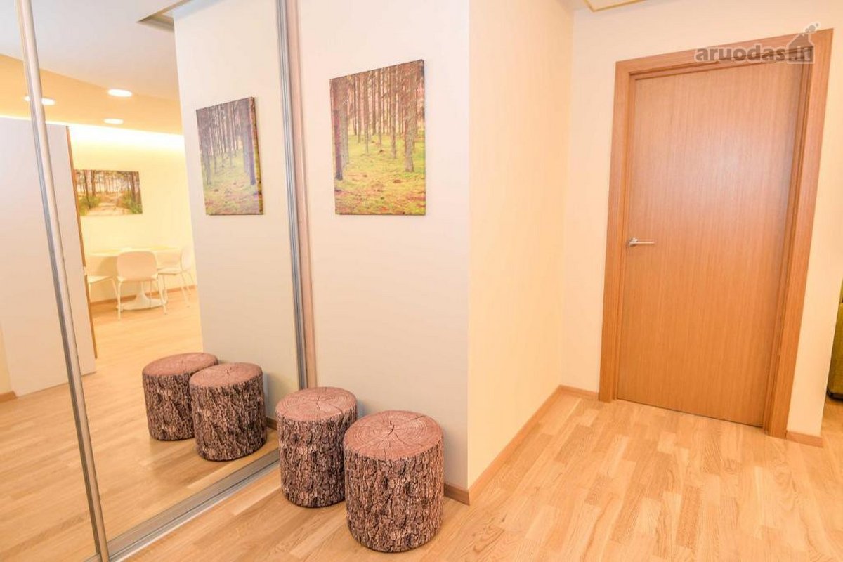 Išnuomojamas Dviejų Kambarių Butas Pačiame - nuotraukos Nr. 8