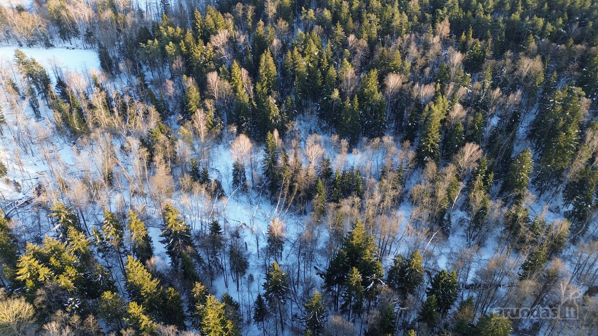 Parduodamas miškų ūkio sklypas Šveicarijos k. - nuotraukos Nr. 5