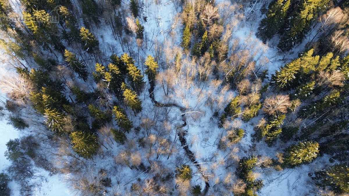 Parduodamas miškų ūkio sklypas Šveicarijos k. - nuotraukos Nr. 2