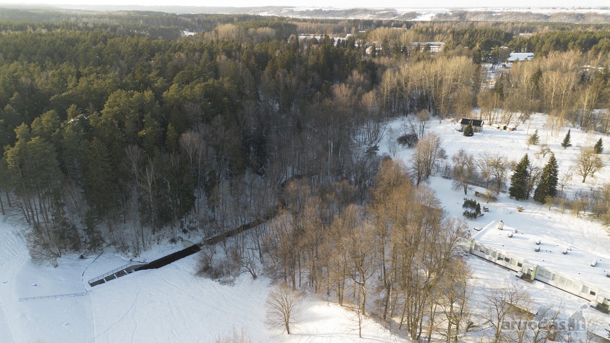 Parduodamas miškų ūkio sklypas prie - nuotraukos Nr. 2