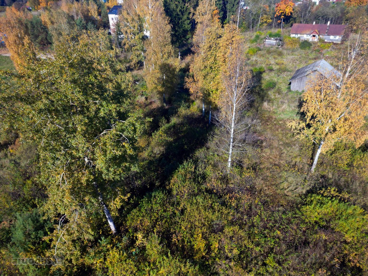Parduodamas 2,92 ha Sklypas Su Sodyba Avižieniuose - nuotraukos Nr. 5