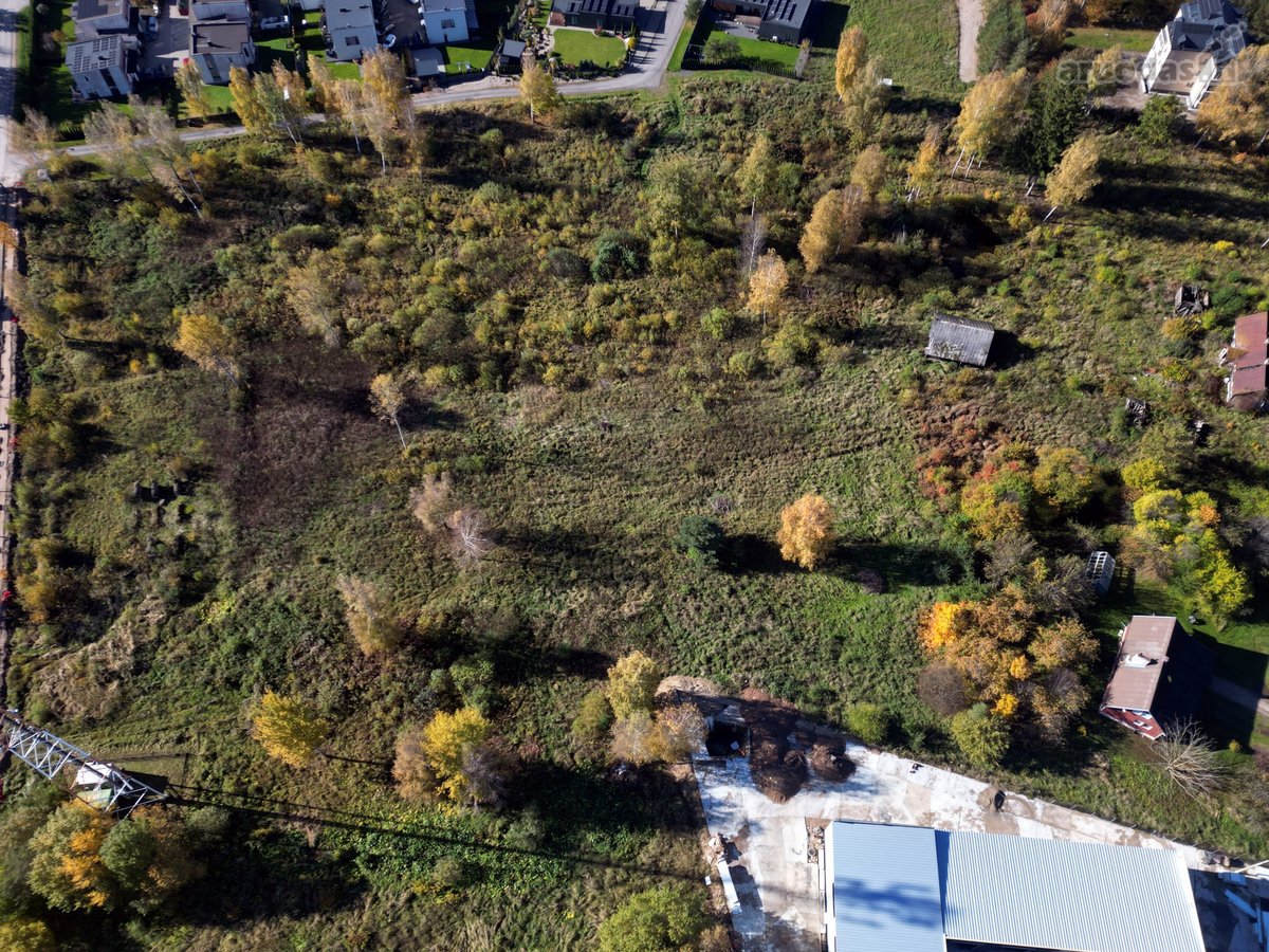 Parduodamas 2,92 ha Sklypas Su Sodyba Avižieniuose - nuotraukos Nr. 6