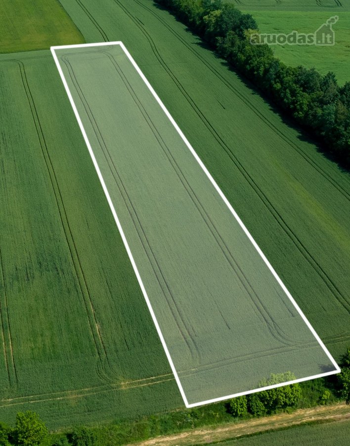 Parduodamas Žemės Ūkio Paskirties 3,8000 Ha - nuotraukos Nr. 6
