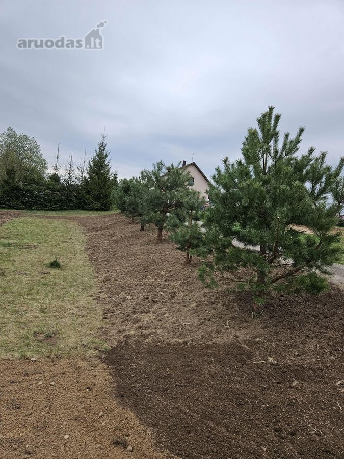 Parduodamas 6 arų sodo sklypas su pamatais ir - nuotraukos Nr. 15