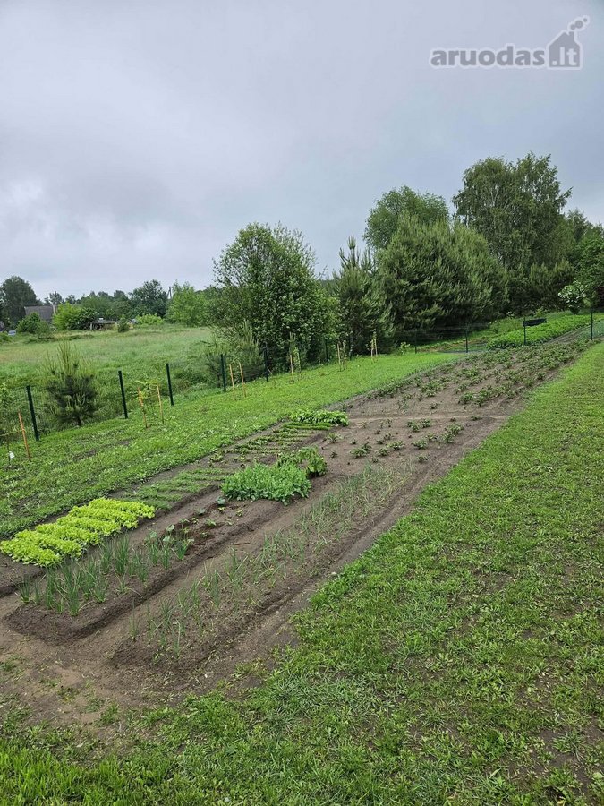 Parduodamas 6 arų sodo sklypas su pamatais ir - nuotraukos Nr. 16