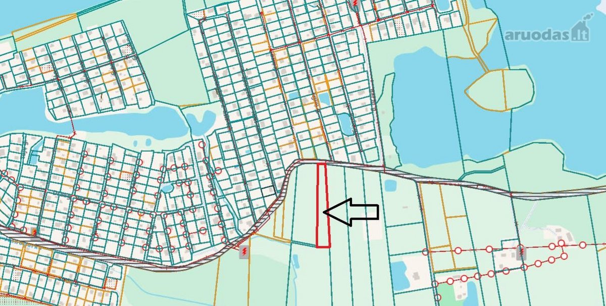 45 a sklypas su brandžiomis pušimis Bartonių - nuotraukos Nr. 9