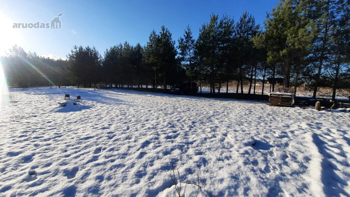 45 a sklypas su brandžiomis pušimis Bartonių - nuotraukos Nr. 7