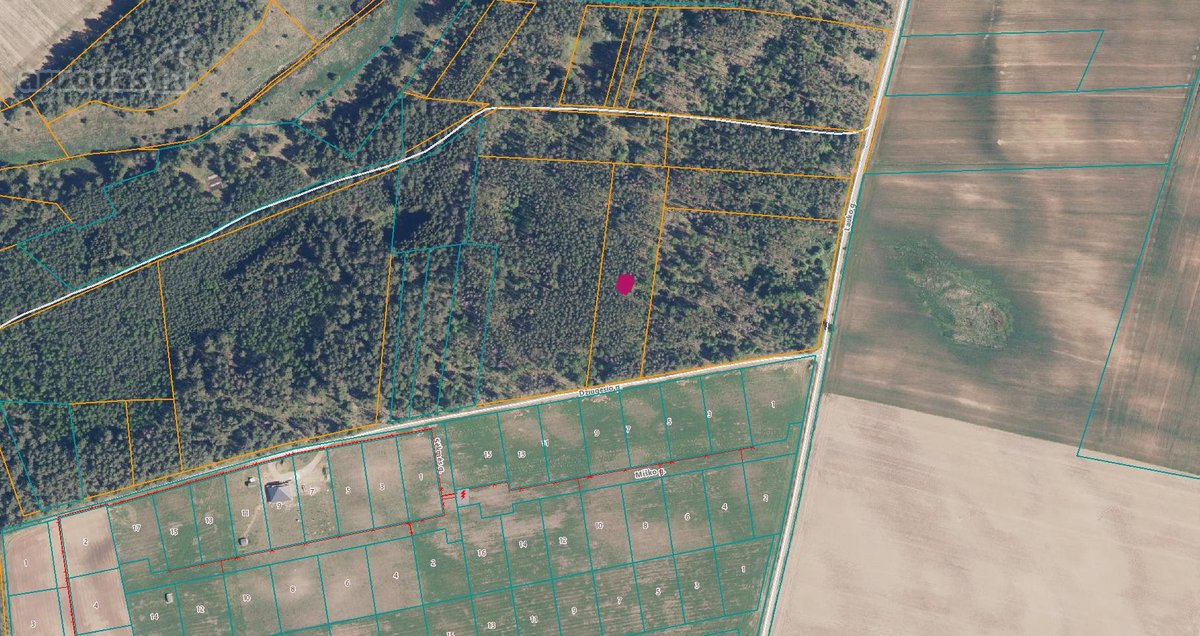 0,76 ha ploto miškas Trakų rajone yra
