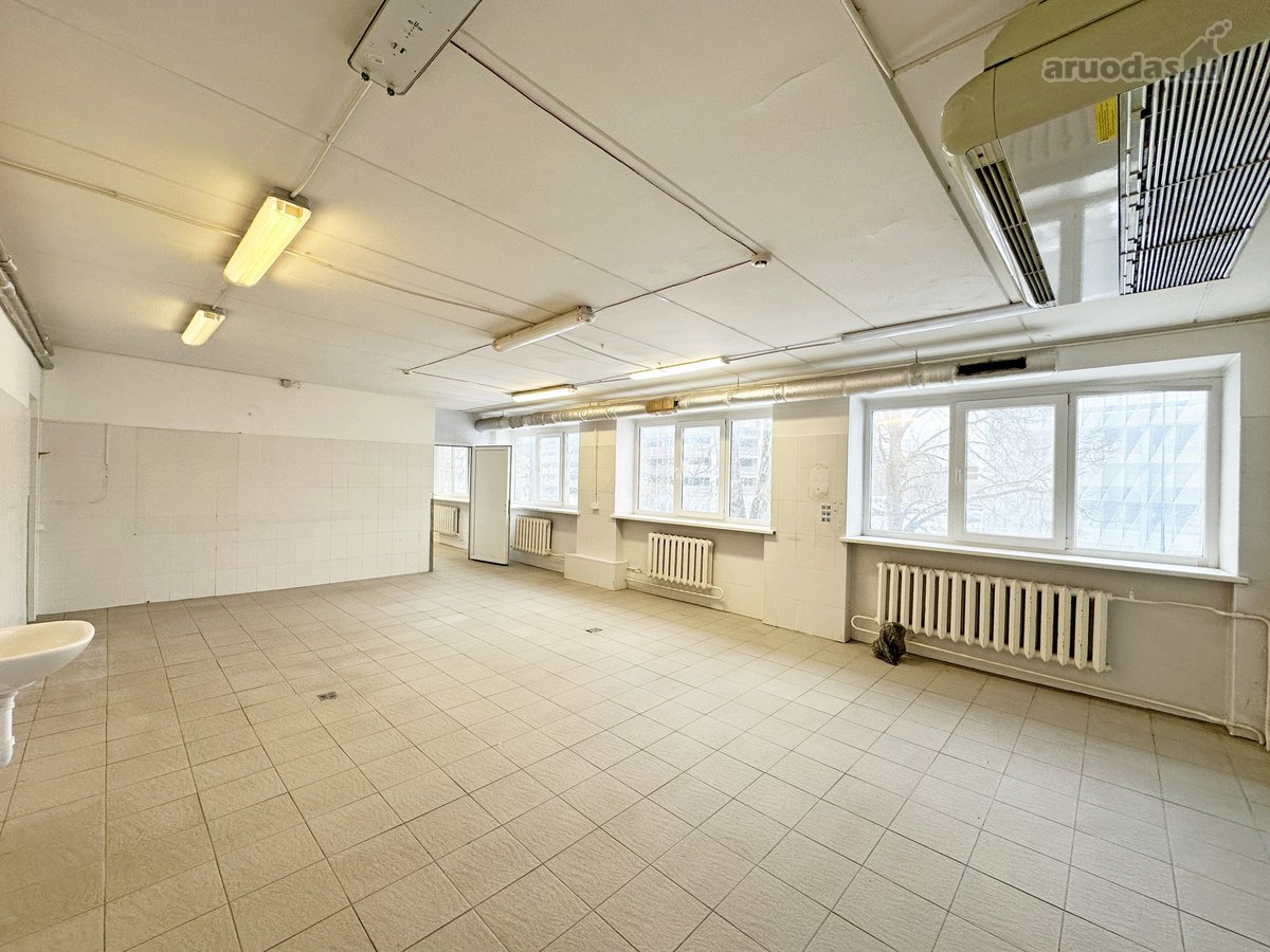 Išnuomojamos visas pastatas Rodūnios kel. 8a, - nuotraukos Nr. 13