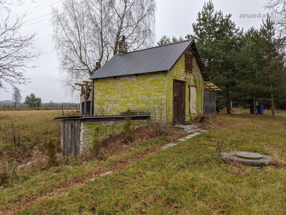 Parduodama sodyba tarp Varėnos miškų šalia - nuotraukos Nr. 10
