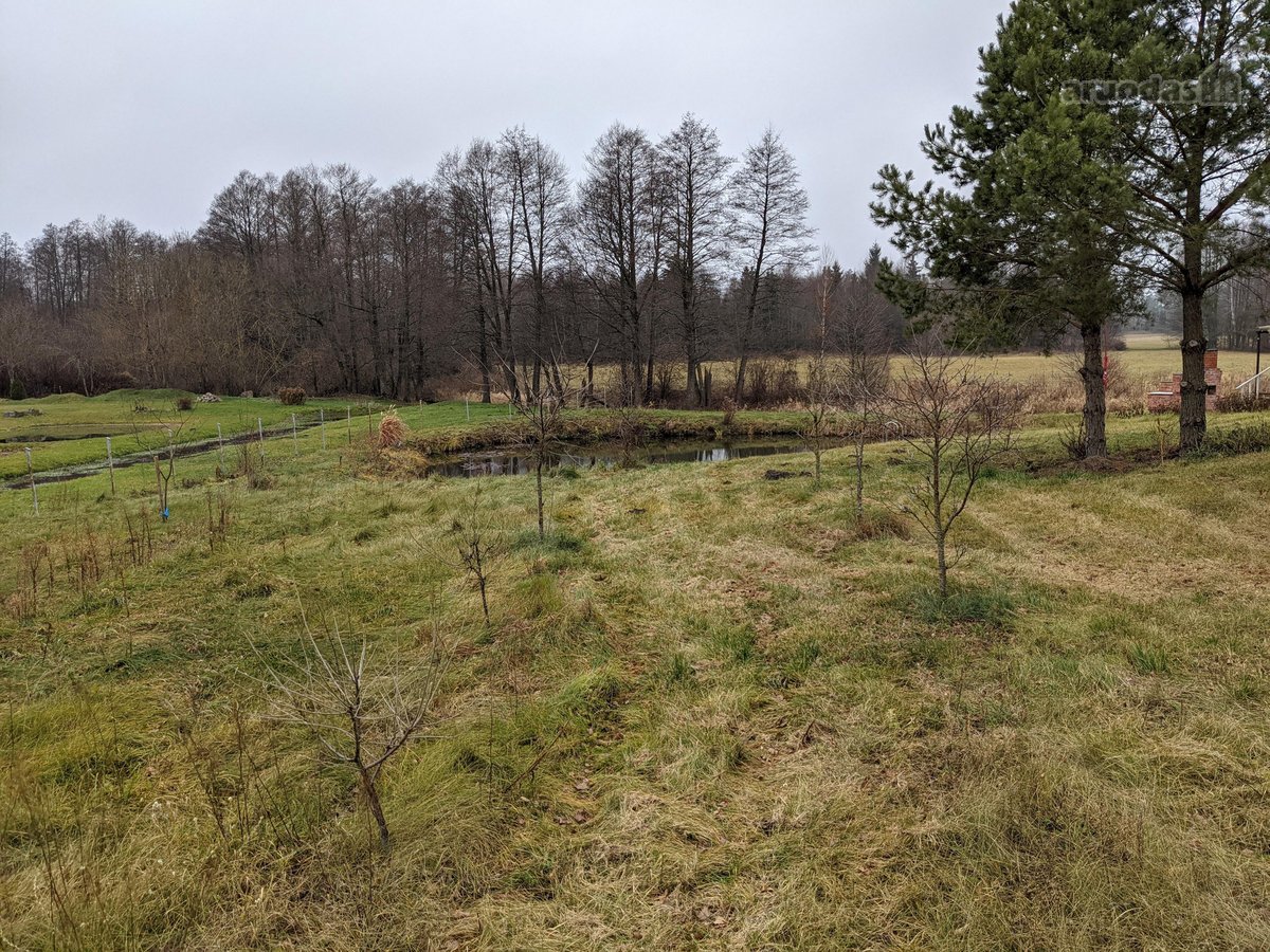 Parduodama sodyba tarp Varėnos miškų šalia - nuotraukos Nr. 12