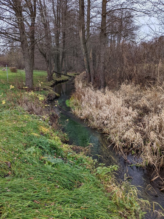 Parduodama sodyba tarp Varėnos miškų šalia - nuotraukos Nr. 14