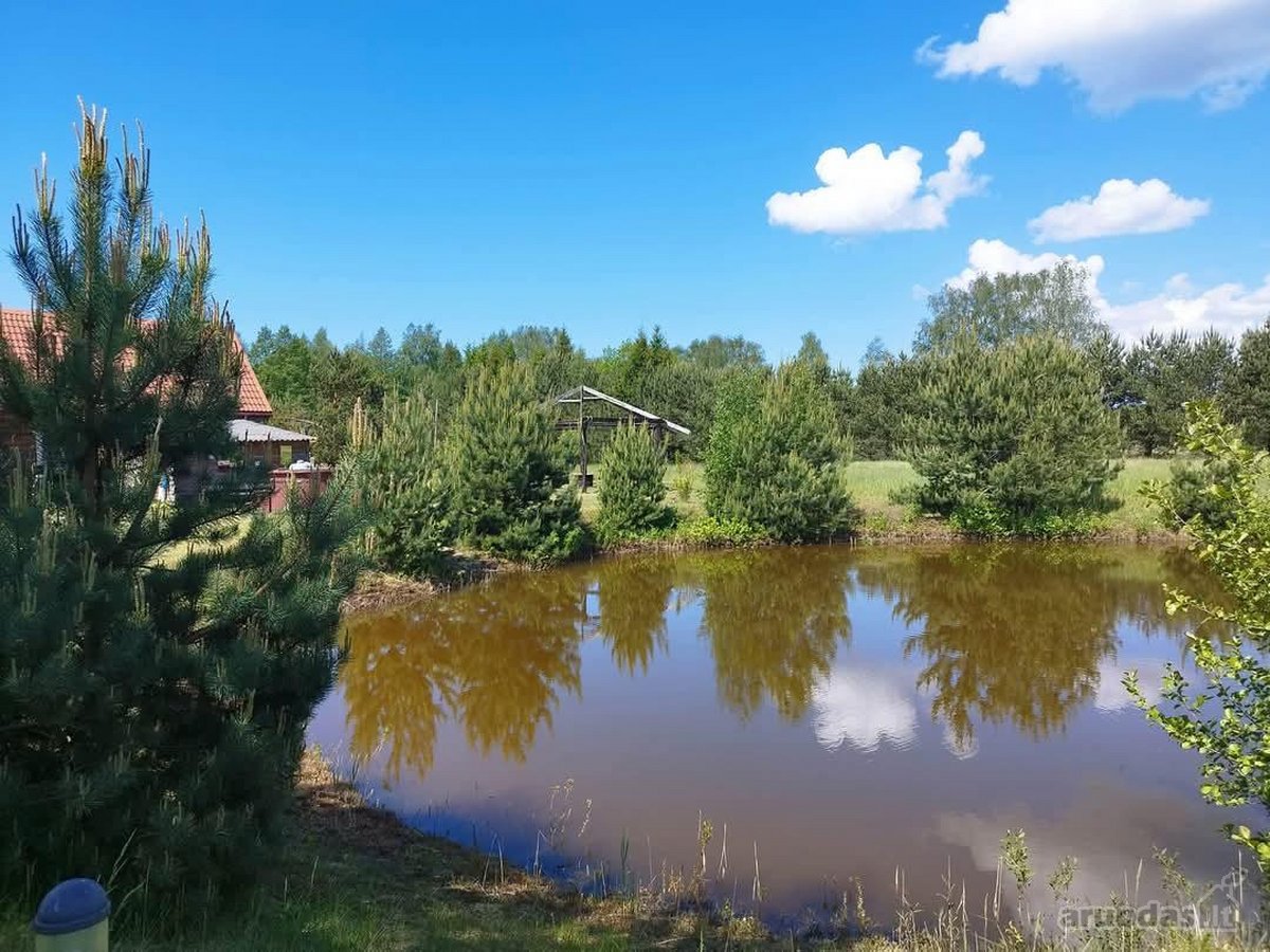 Parduodama sodyba Klaipėdos rajone,svencelės - nuotraukos Nr. 4