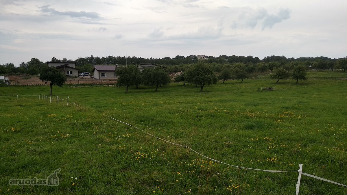 Alytaus rajone Genių k., naujai suformuotame - nuotraukos Nr. 2