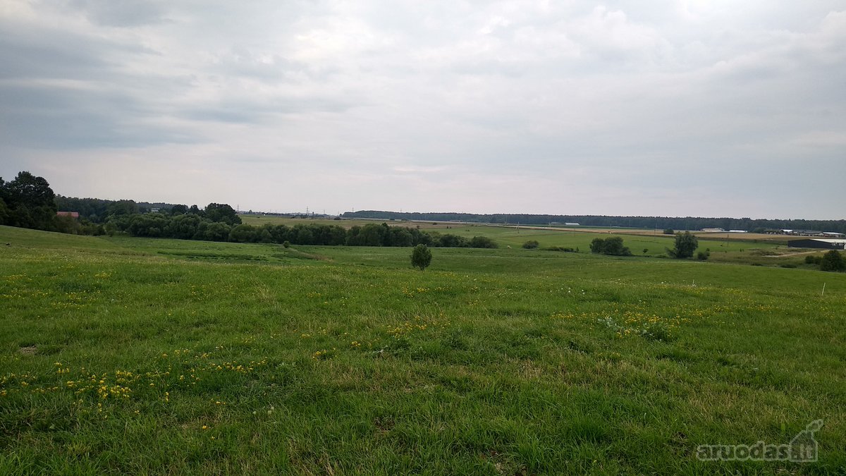 Alytaus rajone Genių k., naujai suformuotame - nuotraukos Nr. 3